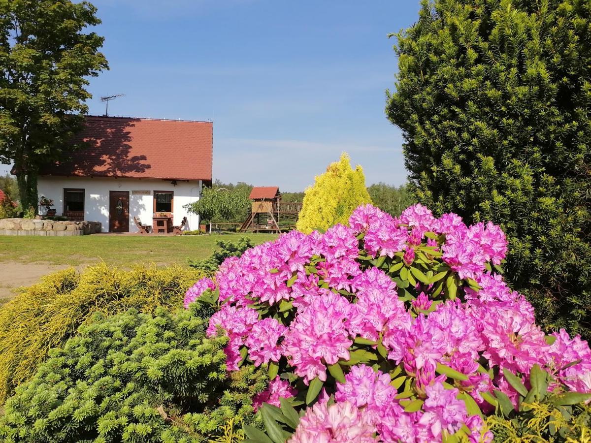 Вилла Domek Czerwony Kapturek Plocice Экстерьер фото